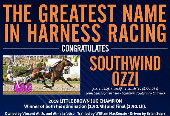 Southwind Ozzi